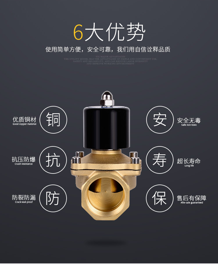 2W-25黄铜电磁阀