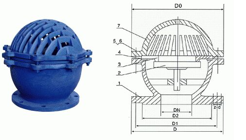 H42X碳钢底阀结构图 H42X碳钢底阀结构图