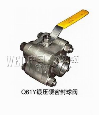 锻压硬密封球阀Q61Y